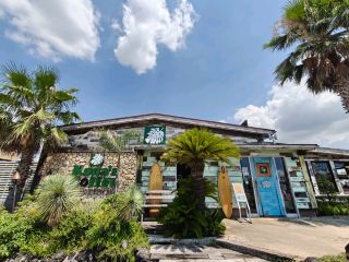 [Gifu] If you're looking for a Hawaiian cafe, try Kona's Coffee✨🏖️