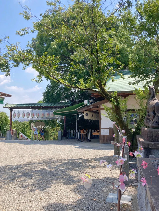 【国宝】犬山城から見下ろす犬山の絶景