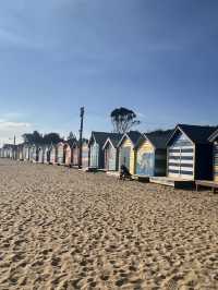 【墨爾本必訪景點】布萊頓海灘彩色小屋——海邊的童話彩虹 (Melbourne Brighton beach)