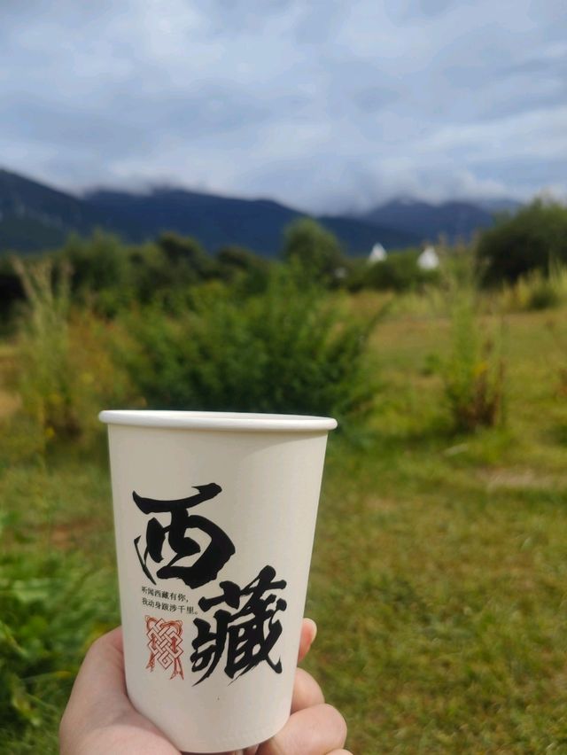 美丽的风景