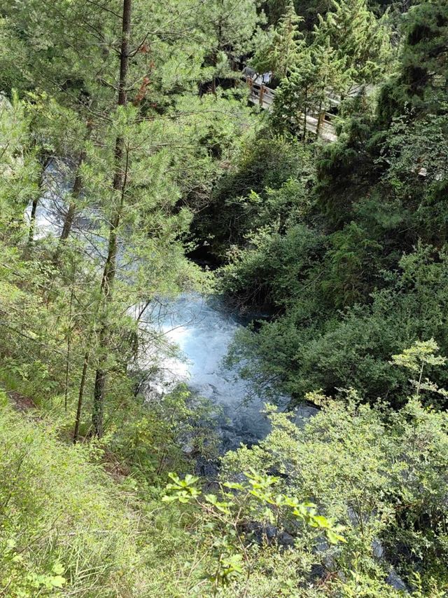 Fall for the Falls: Why Pearl Shoal Is Nature’s Hidden Treasure