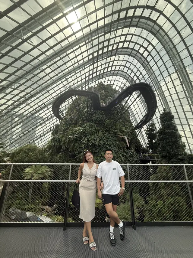 Gardens by the Bay, Singapore 🇸🇬 (Flower Dome and Cloud Forest)