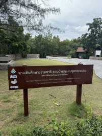 สวนป่าชายเลนทูลกระหม่อม