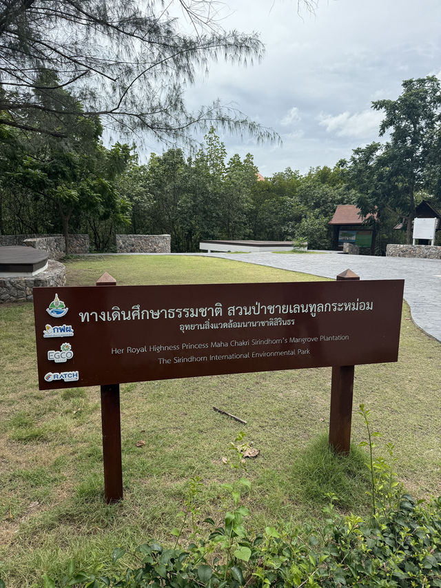 สวนป่าชายเลนทูลกระหม่อม