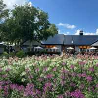 #Lake Hill Farm