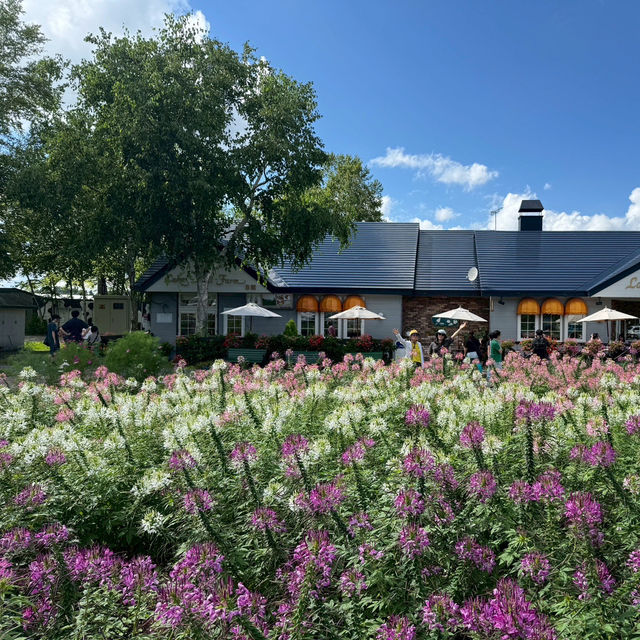 #Lake Hill Farm