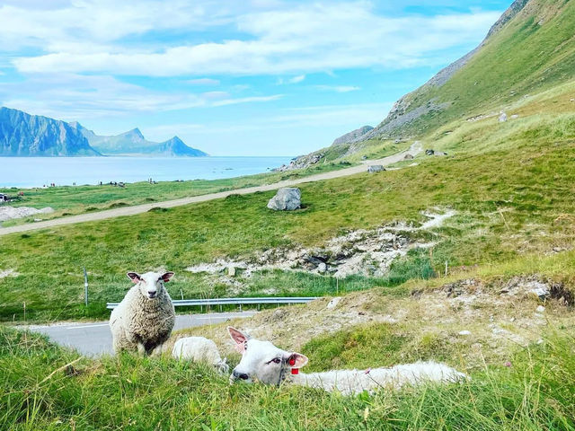 Hiking Adventure to Mannen 