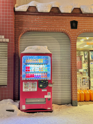 ❄️ 겨울 오타루 여행