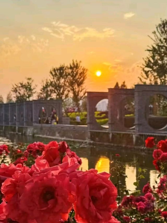 Yu Garden: Kunming's Hidden Jewel of Tranquility Yu Garden: Kunming's Hidden Jewel of Tranquility