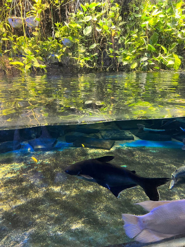 📍여수 핫플 아쿠아플라넷 탐방기🐠🖼️✨