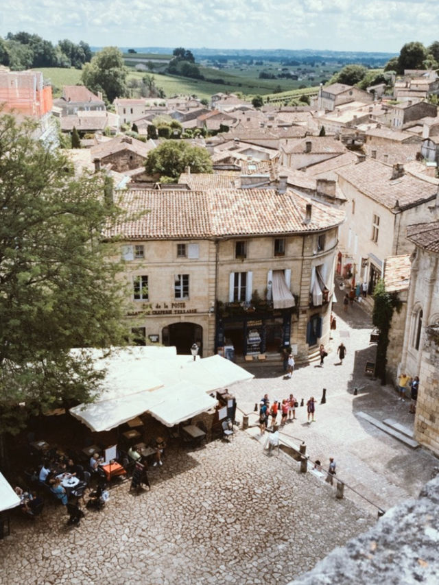 【世界屈指のワインの旅🍷ボルドーのワイン街道を巡る】