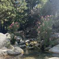 Samaria Gorge – Crete’s Majestic Natural Wonder