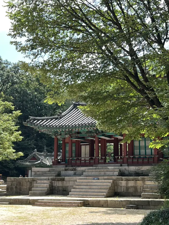 Changdeokgung Palace's Secret Garden and Jongmyo Shrine Tour🪴