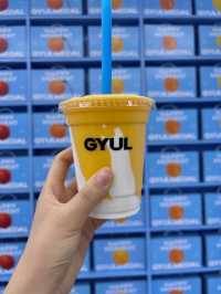 🍊 귤 향 가득한 제주 감성 공간, 귤메달 방문기 🍊