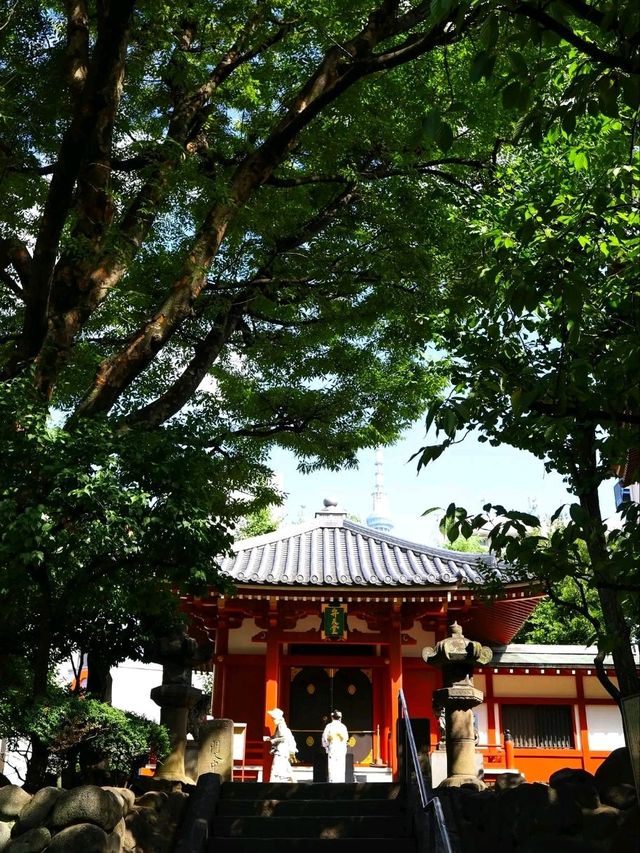 ⛩️ Senso-ji Temple – Tokyo’s Timeless Spiritual Landmark ⛩️