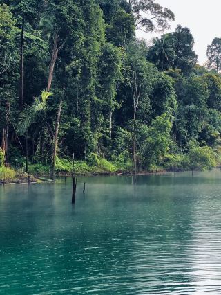 Setia Alam Mirror Lake: A Serene Escape in Selangor  