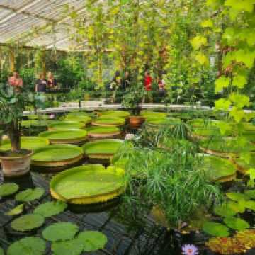 Kew Gardens – London, England