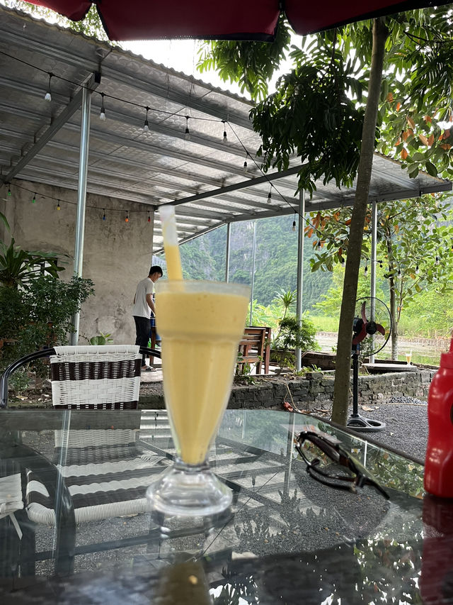 Duck Paradise in Ninh Binh 🦆✨