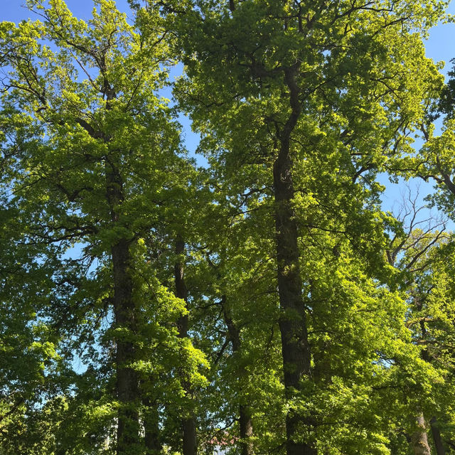 Eichenhain Stuttgart – A Woodland Nature Reserve