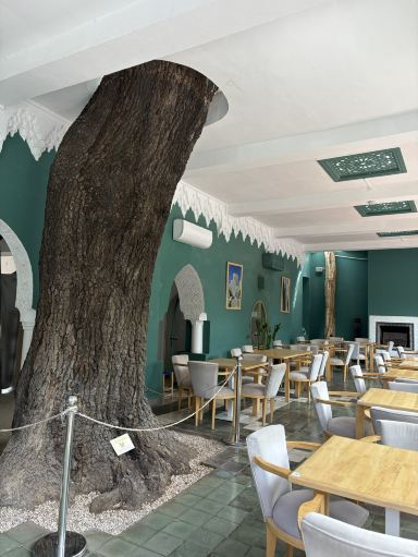 🇲🇦モロッコ/マラケシュ】カフェ マジョレル☕️ | Trip.com マラケシュ