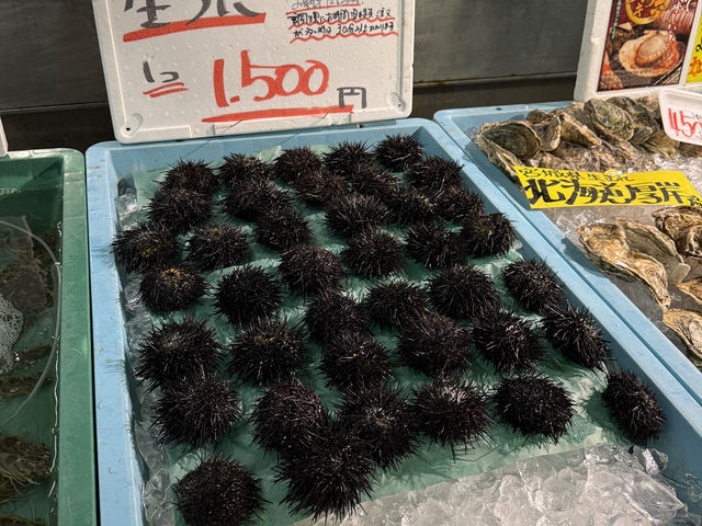 白濱 Shirahama - 日落Sunset🌅海鮮Seafood🐟沙灘Beach🏖️