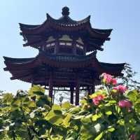 🕰 Day Trip in Xi’an — From Tang Dynasty Heritage to Modern Lights