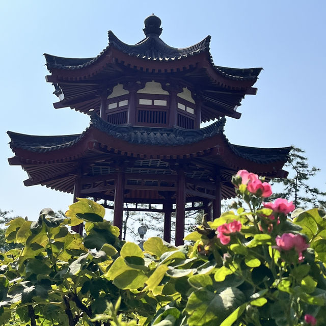 🕰 Day Trip in Xi’an — From Tang Dynasty Heritage to Modern Lights