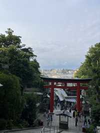 【鎌倉】江之島神社一步步走出的感動