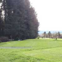 Lee Valley Golf & Country Club – Championship-Parkland Gem in Cork’s Green Valley