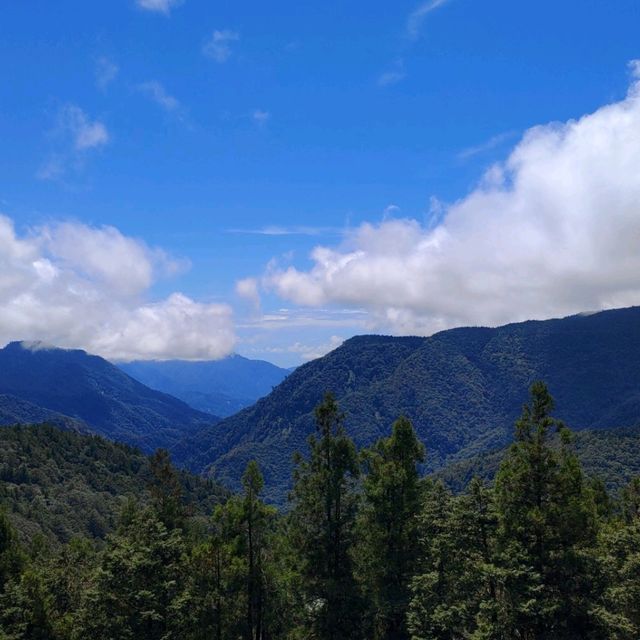 可以看到雲海的咖啡廳_太平山雲海咖啡廳 可以看到雲海的咖啡廳_太平山雲海咖啡廳