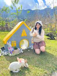 🏡 เตญ่า ฟาร์มวิลล์ คาเฟ่