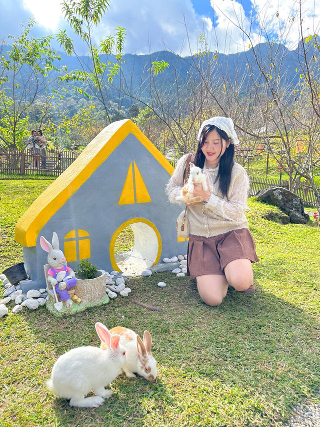 🏡 เตญ่า ฟาร์มวิลล์ คาเฟ่