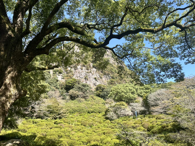 歷史與自然交織的佐賀之旅💯