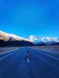 紐西蘭🇳🇿真是 CHILL