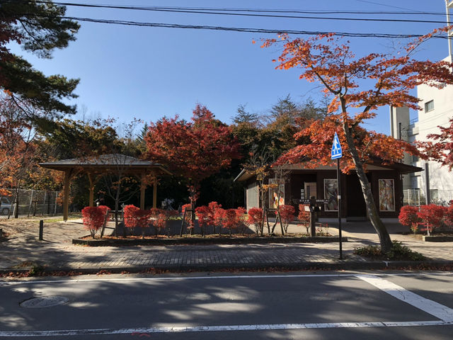 秋日單車遊輕井澤:雲場池賞楓之旅 秋日單車遊輕井澤:雲場池賞楓之旅