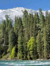 Nature’s Masterpiece: Altay