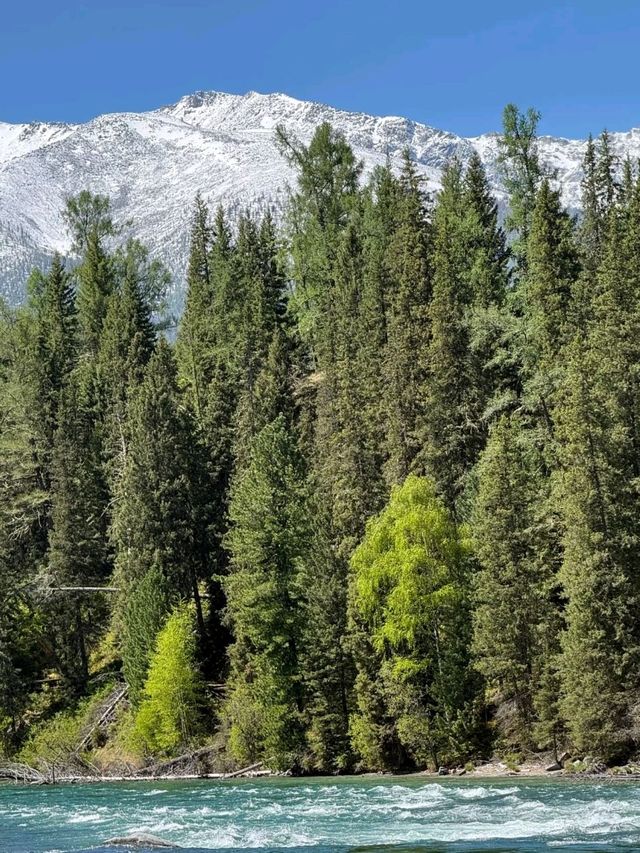 Nature’s Masterpiece: Altay