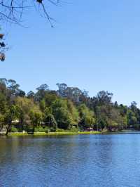 KODAIKANAL TEIP