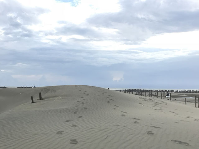 頂頭額沙洲 頂頭額沙洲