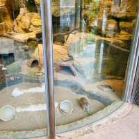 Hong Kong Zoological and Botanical Gardens