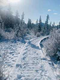 two jack lake