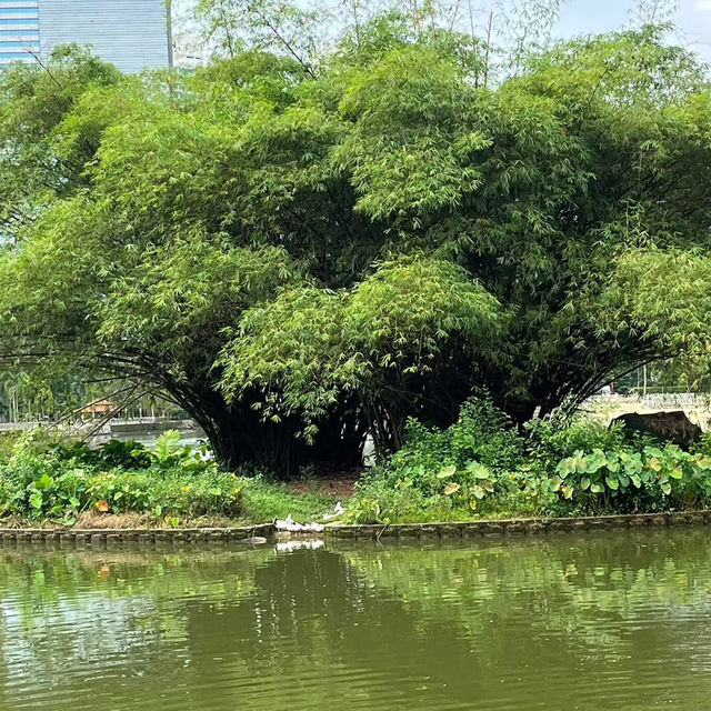 🌳🌸 Taman Botani Perdana – Kuala Lumpur’s Green Escape 🌿✨