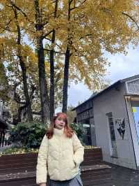 Dujiangyan