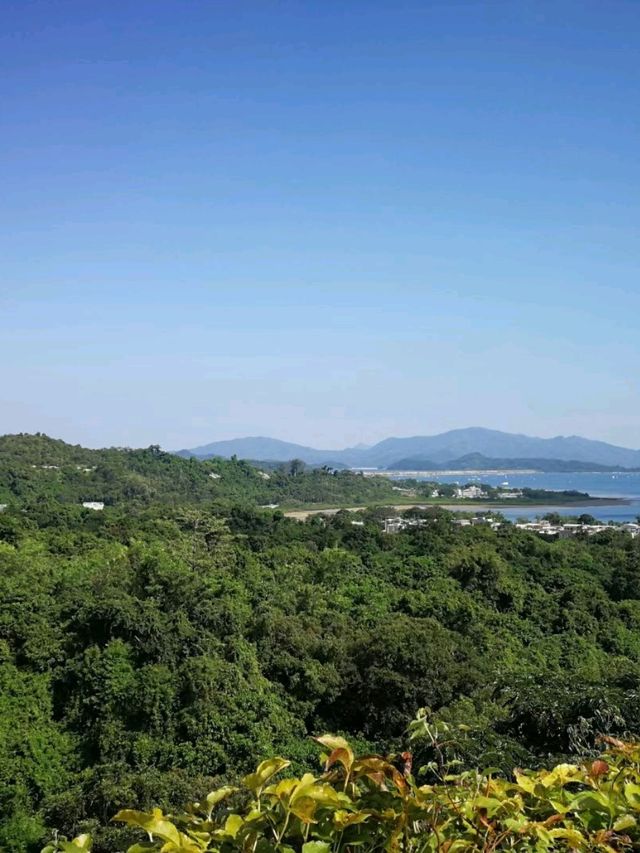 慈山寺禮佛禪修，遠離都市煩憂