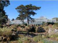Royal Botanic Gardens, Kew