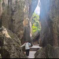 Nature’s Masterpiece at Stone Forest