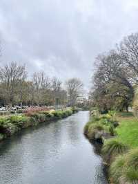 瓦納卡之樹打卡靚景🌳