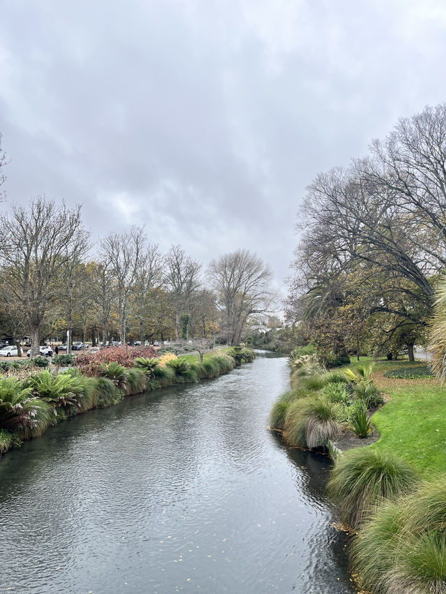 瓦納卡之樹打卡靚景🌳 瓦納卡之樹打卡靚景🌳