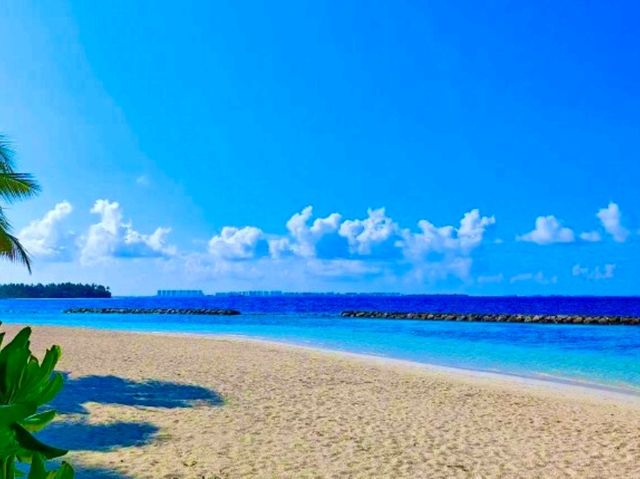 Bandos Maldives — Classic Island Charm Close to Malé Bandos Maldives — Classic Island Charm Close to Malé