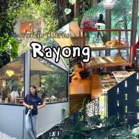 คาเฟ่ลับๆในสวน 